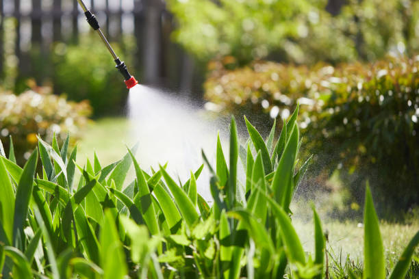 24/7 Emergency Wasp Removal experts in Jackson, MS