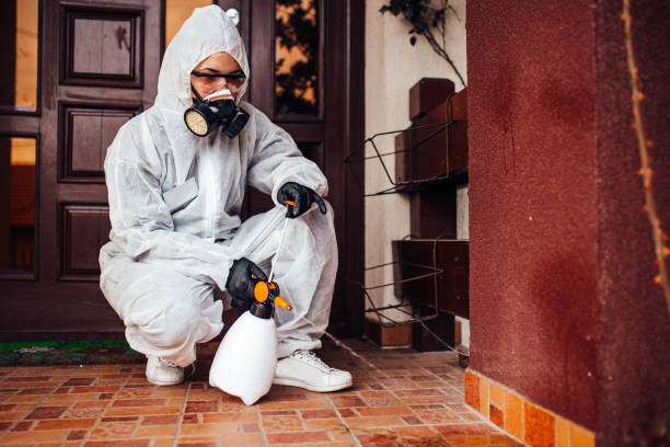 Reliable Wasp Removal contractor in Jackson, MS by Show Me Pest Control
